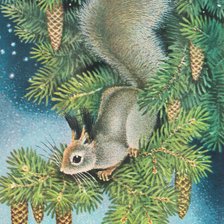 Схема вышивки «Белка на ветке»