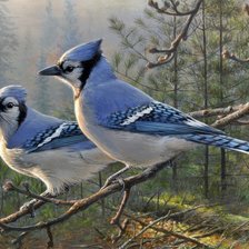 Схема вышивки «Pássaros»