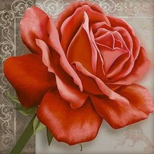 Схема вышивки «Роза»