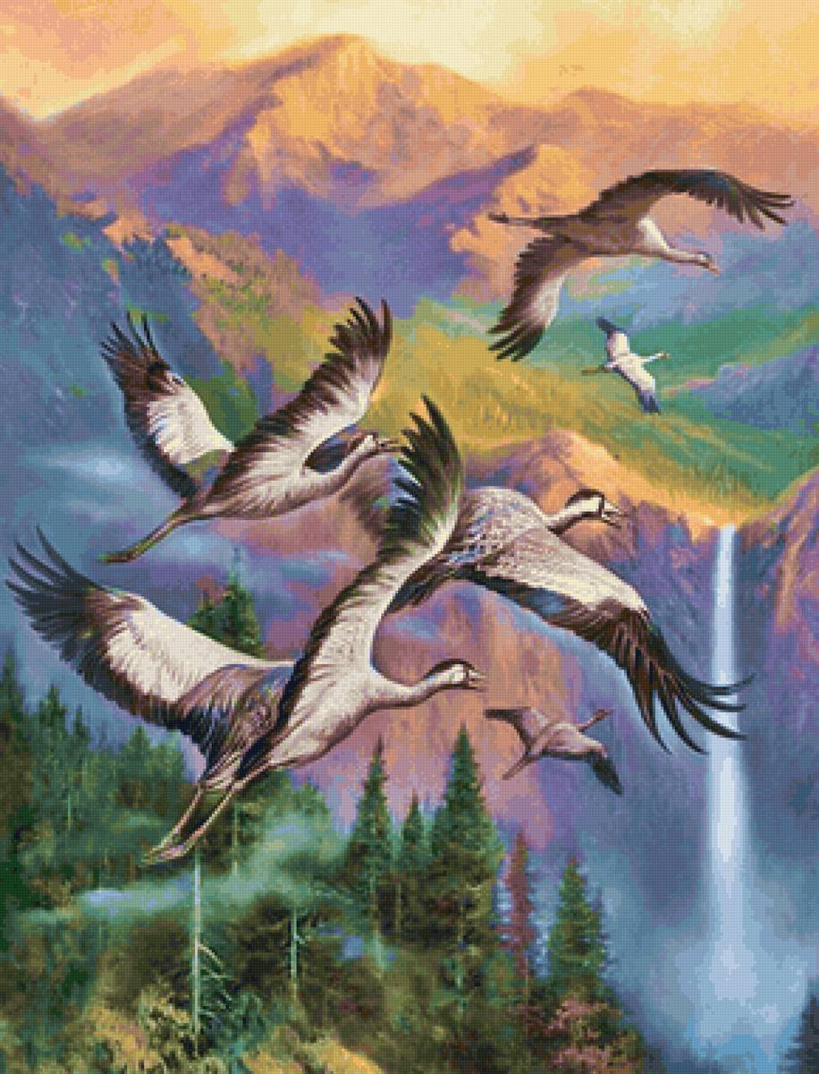 Pássaros. - pássaro, paisagens - предпросмотр