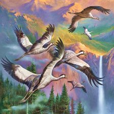 Схема вышивки «Pássaros.»