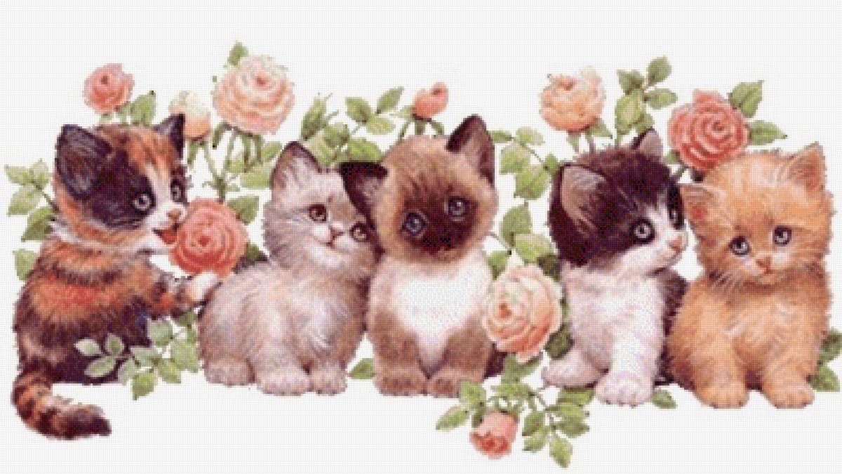 №2319151 - gatos, animales - предпросмотр