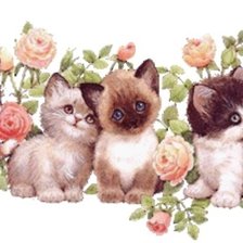 Схема вышивки «№2319151»