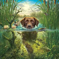 Схема вышивки «собачка»