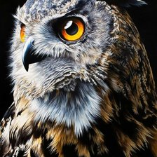 Схема вышивки «Взгляд хищника»