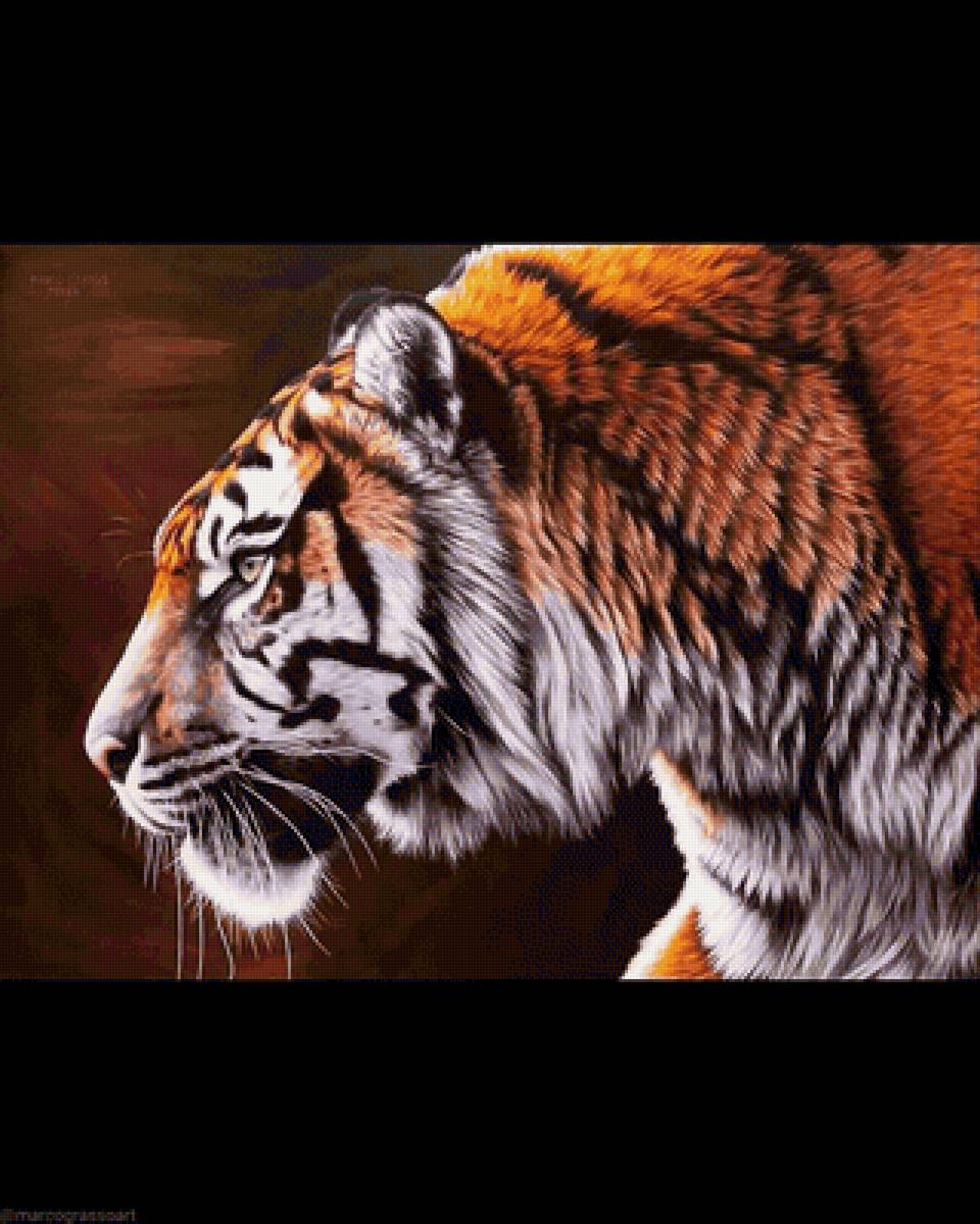 Крадущийся тигр - предпросмотр