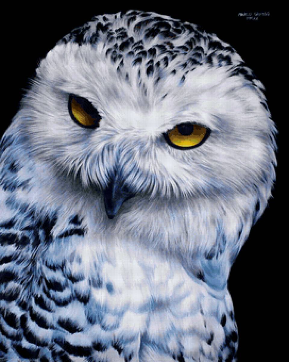 Совушка - предпросмотр