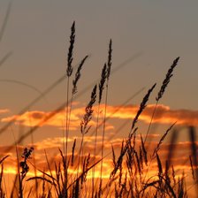 Схема вышивки «На закате...»