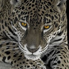 Схема вышивки «№2319338»