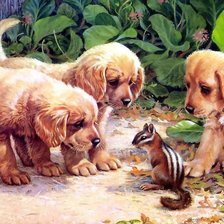 Схема вышивки «щенки»