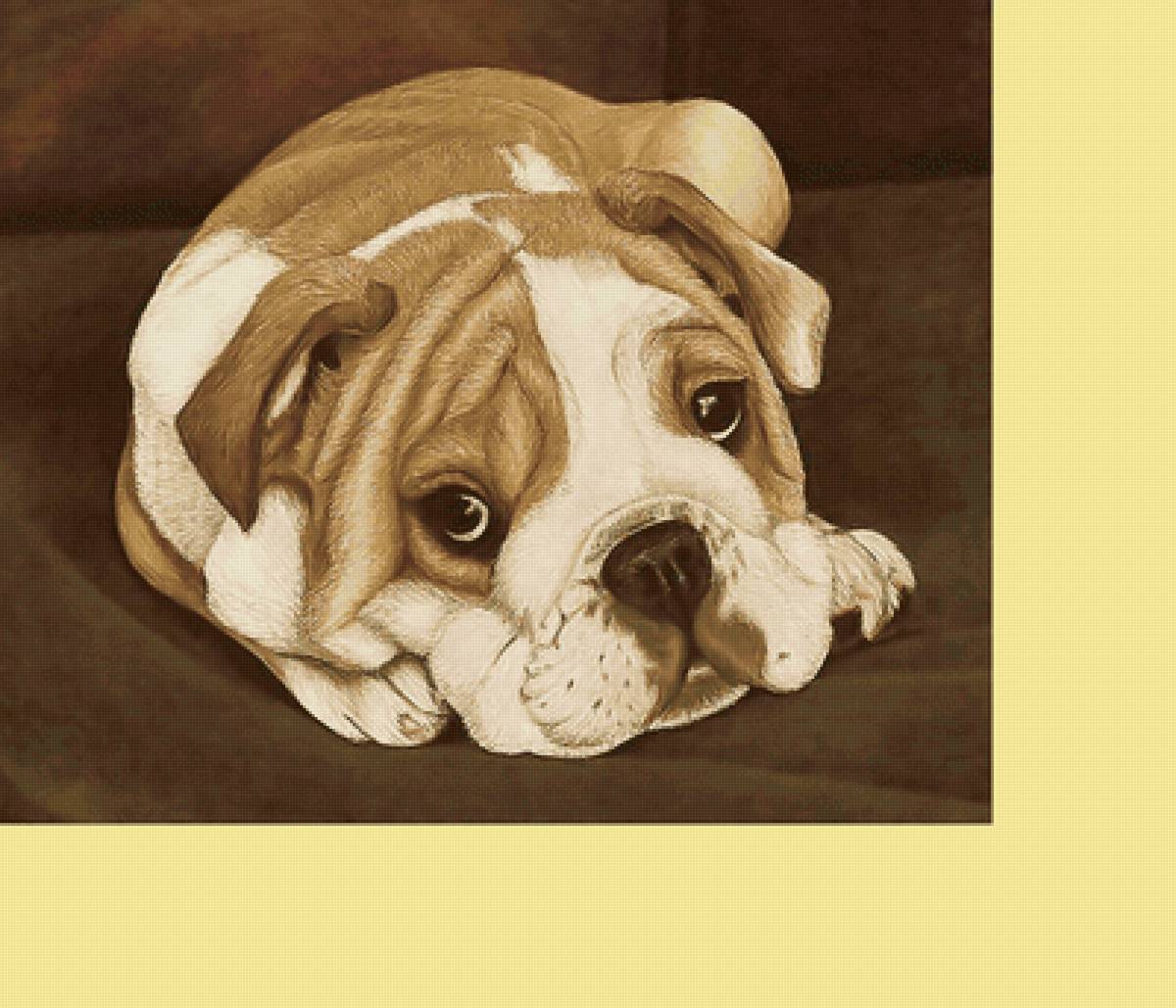 Серия "Собаки" - животные, собака - предпросмотр