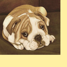 Схема вышивки «Серия "Собаки"»