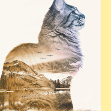 Схема вышивки «Кото-пейзаж»