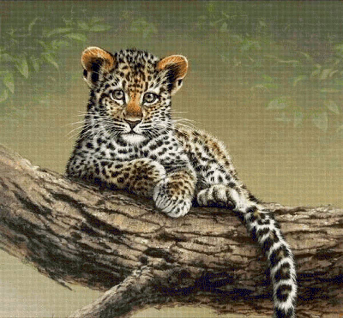 Тигрёнок - предпросмотр