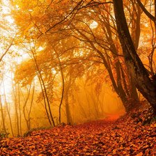 Схема вышивки «пейзаж осенний»