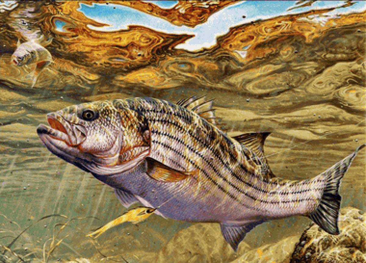 Peixes. - peixes, rio.lago. - предпросмотр