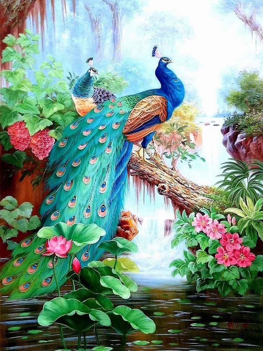 павлин - цветы, павлин - оригинал