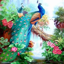 Схема вышивки «павлин»