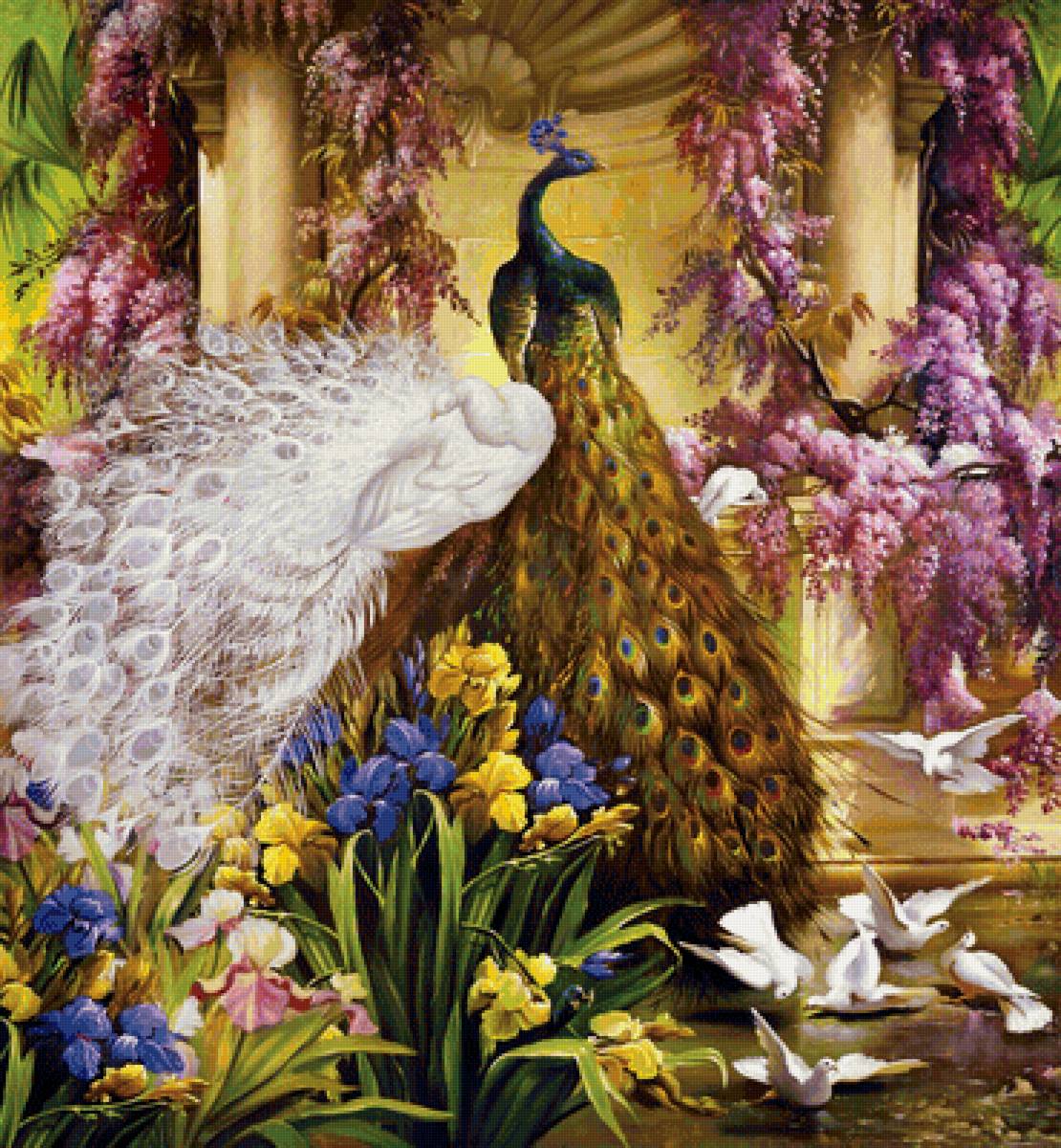 павлин - цветы, павлин - предпросмотр