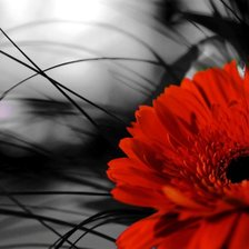 Схема вышивки «№2320593»