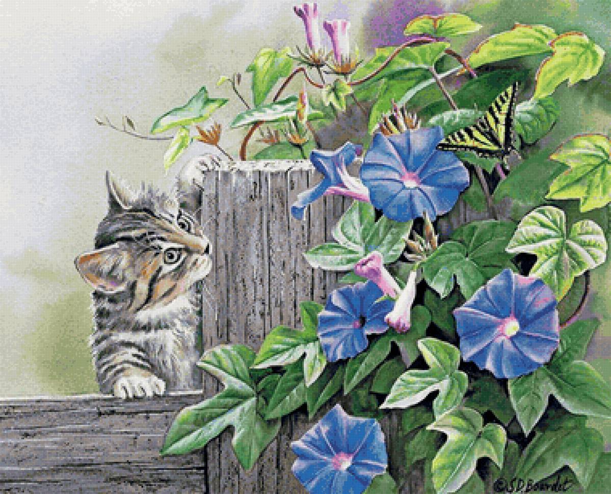 Gato. - animais.flores. - предпросмотр