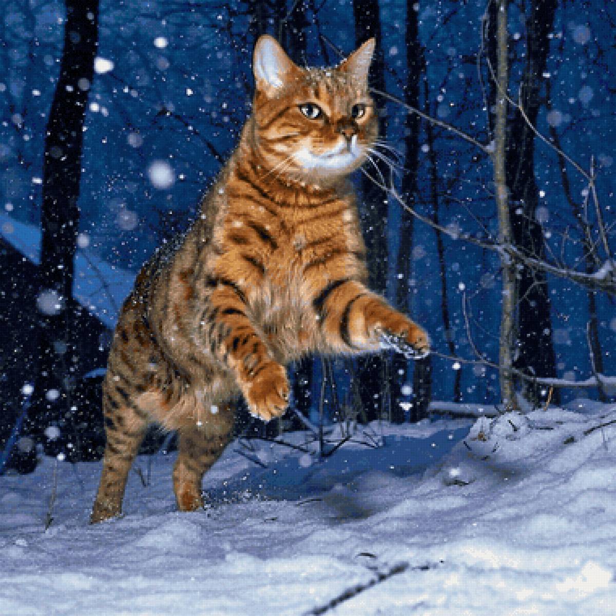 Gato. - animais. - предпросмотр