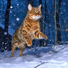 Схема вышивки «Gato.»