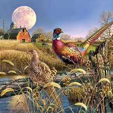 Схема вышивки «Paisagem  rural.»