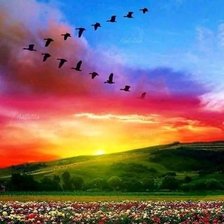 Схема вышивки «Puesta de sol»