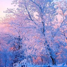 Схема вышивки «№2320961»