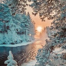 Схема вышивки «№2320965»