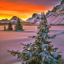 Схема вышивки «№2320977»