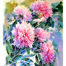 Схема вышивки «Пионы, О. Тимошин»