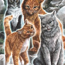 Схема вышивки «Котята на камнях»