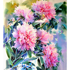 Схема вышивки «piwonie»