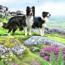 Схема вышивки «№2321494»