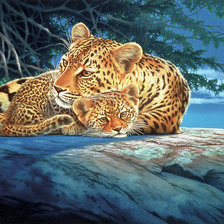 Схема вышивки «№2321503»