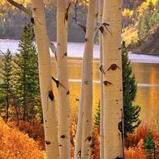 Схема вышивки «Paisagem.»