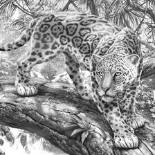 Схема вышивки «Гепард на дереве - монохром»