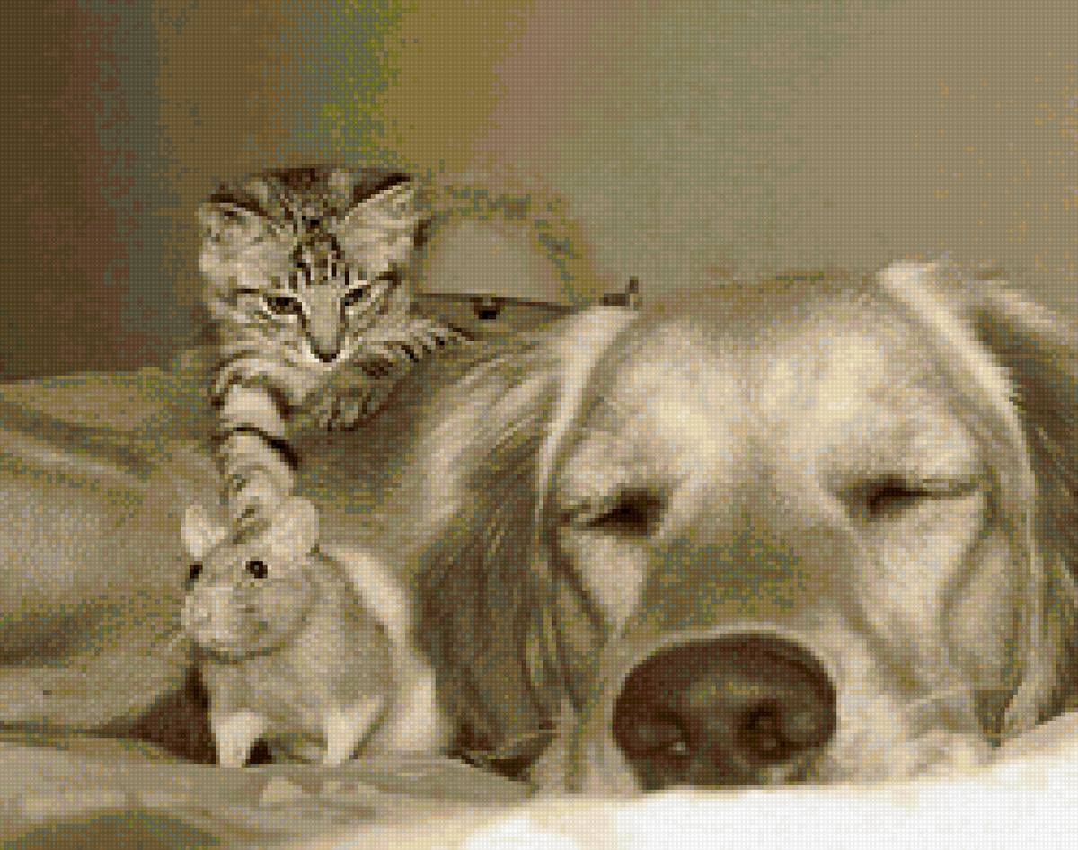 Собака, кот, мышь - сепия - кот, собака, сепия, дружба, мышь - предпросмотр