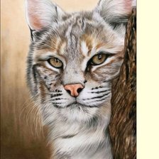 Схема вышивки «№2321738»