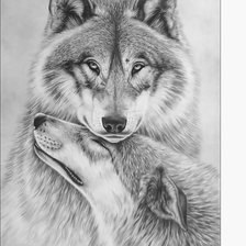 Схема вышивки «№2321739»