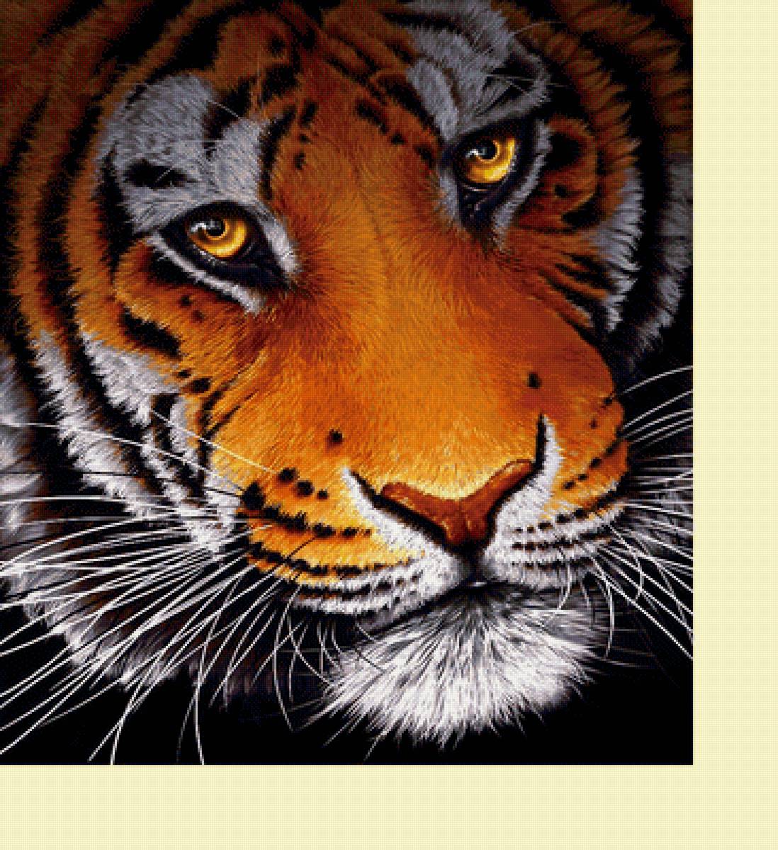 №2321742 - животные, тигр, тигры, хищники - предпросмотр