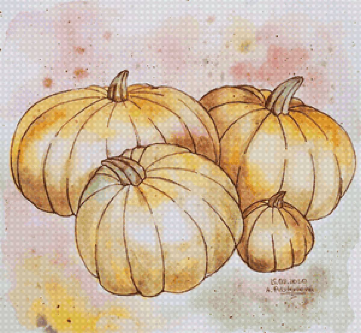 Тыквы - предпросмотр