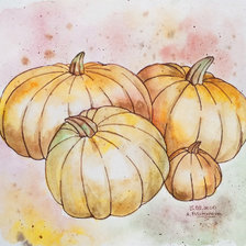 Схема вышивки «Тыквы»