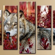 Схема вышивки «№2322216»