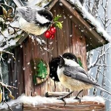 Схема вышивки «Птицы 21»