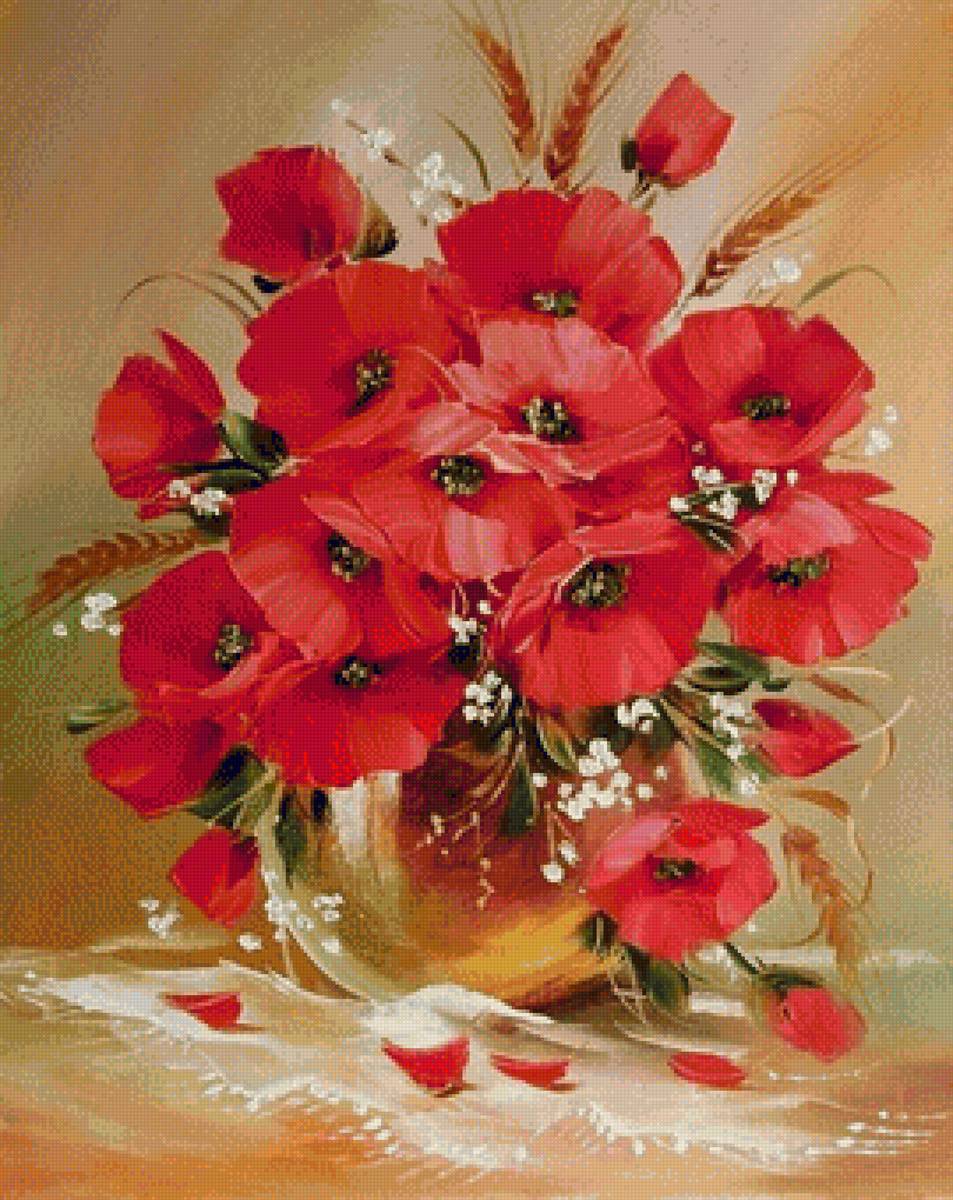 maci - предпросмотр