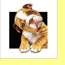 Схема вышивки «№2322635»