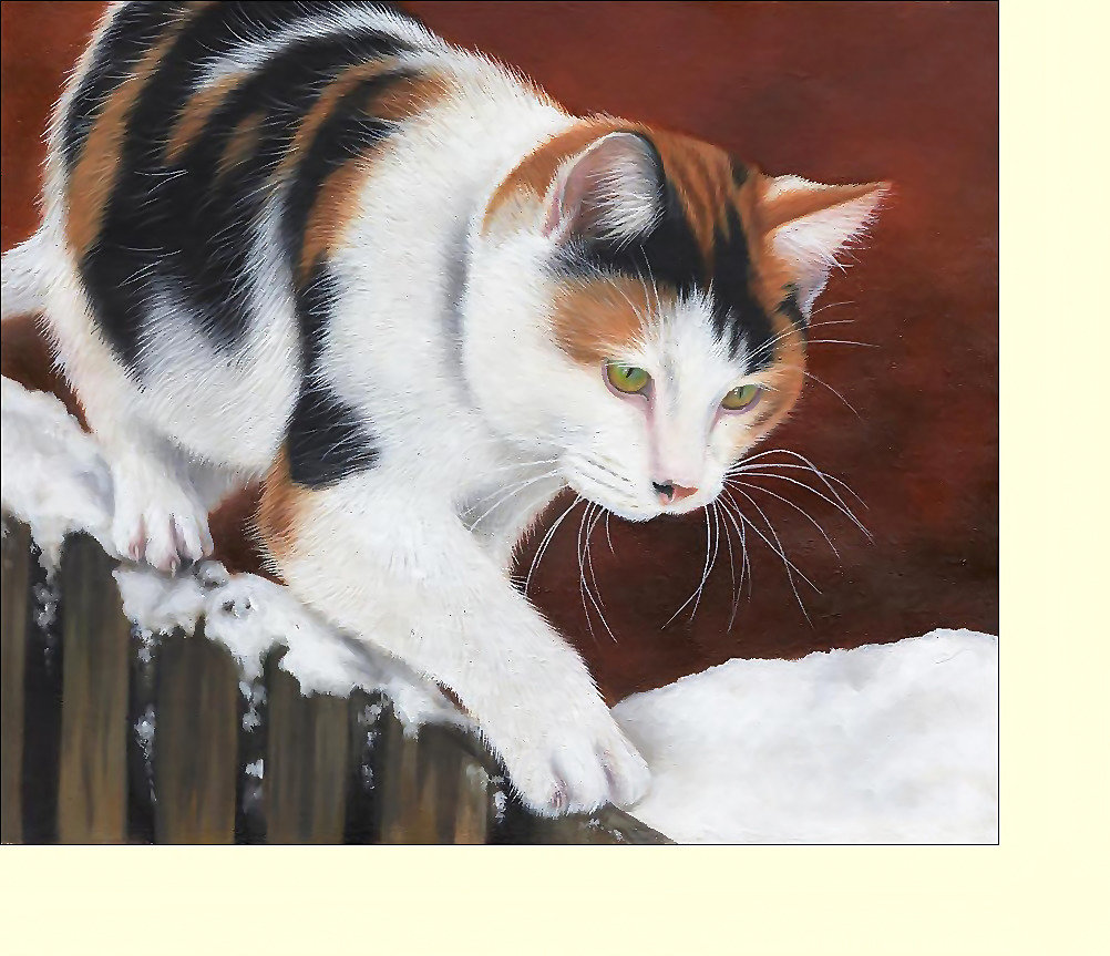 кот - коты, кот, животные - оригинал